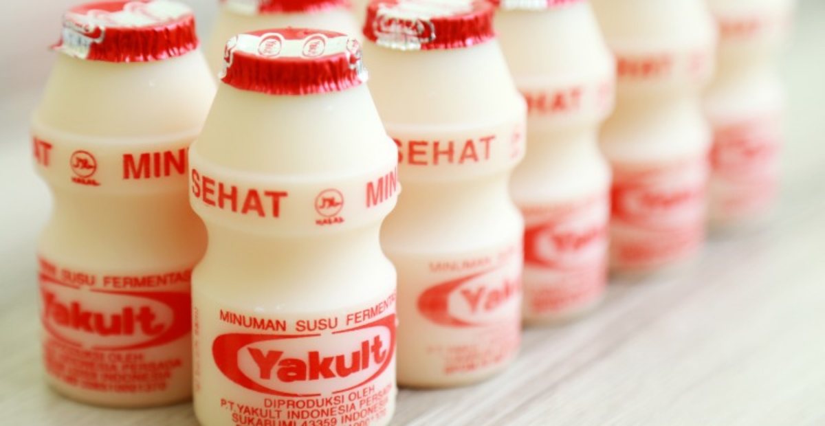 Manfaat Kesehatan Tubuh Minuman Yakult Untuk Hidup Sehat