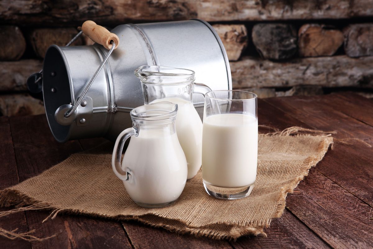 Susu sapi Merupakan Minuman Alami Untuk Kesehatan Tubuh